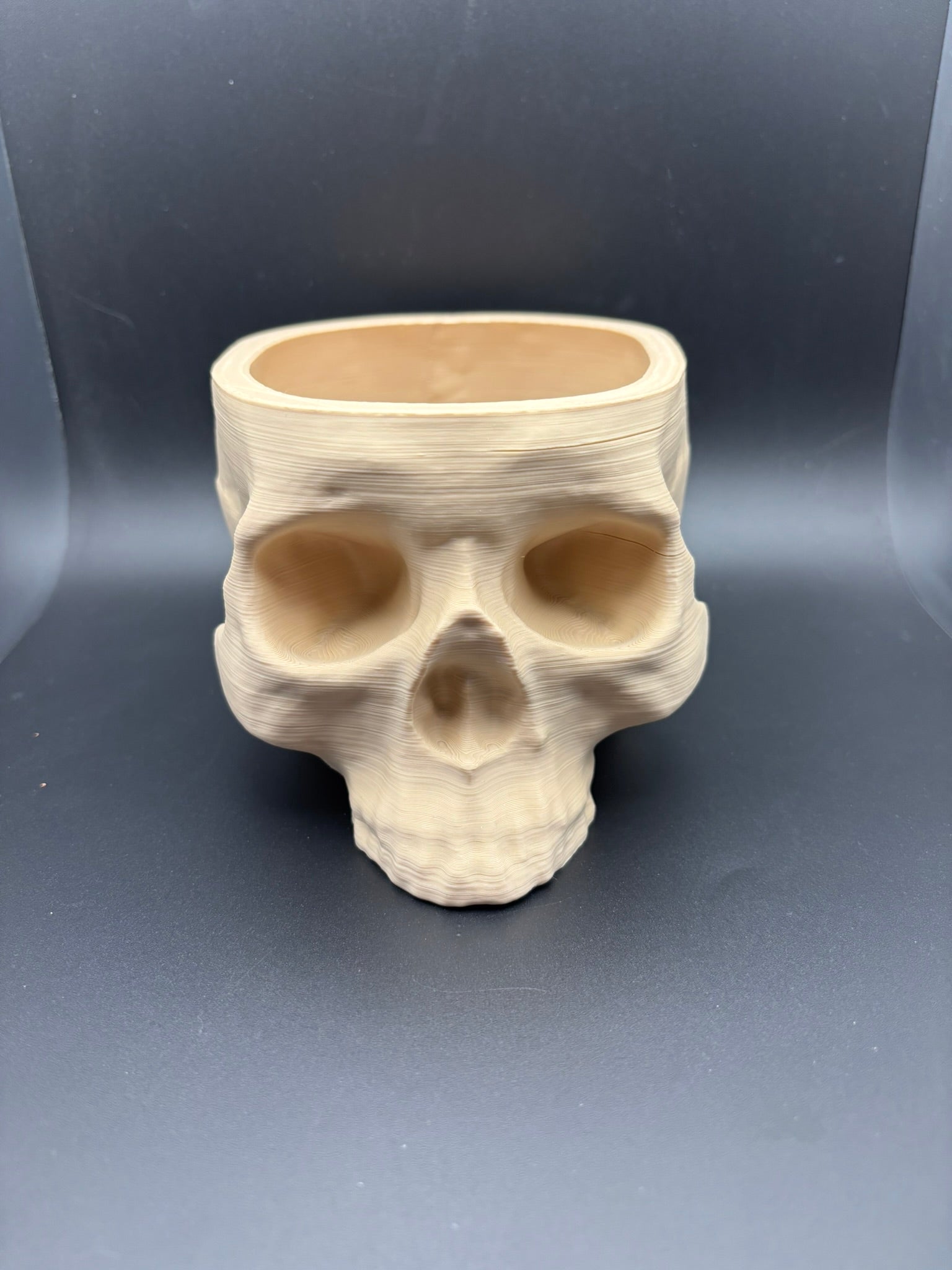 Skull Planter & Organizer