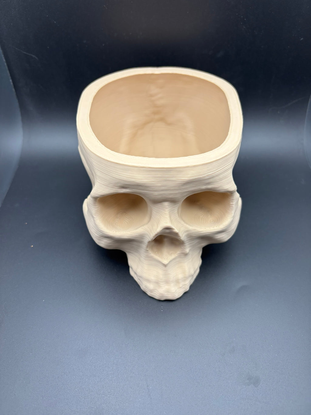 Skull Planter & Organizer