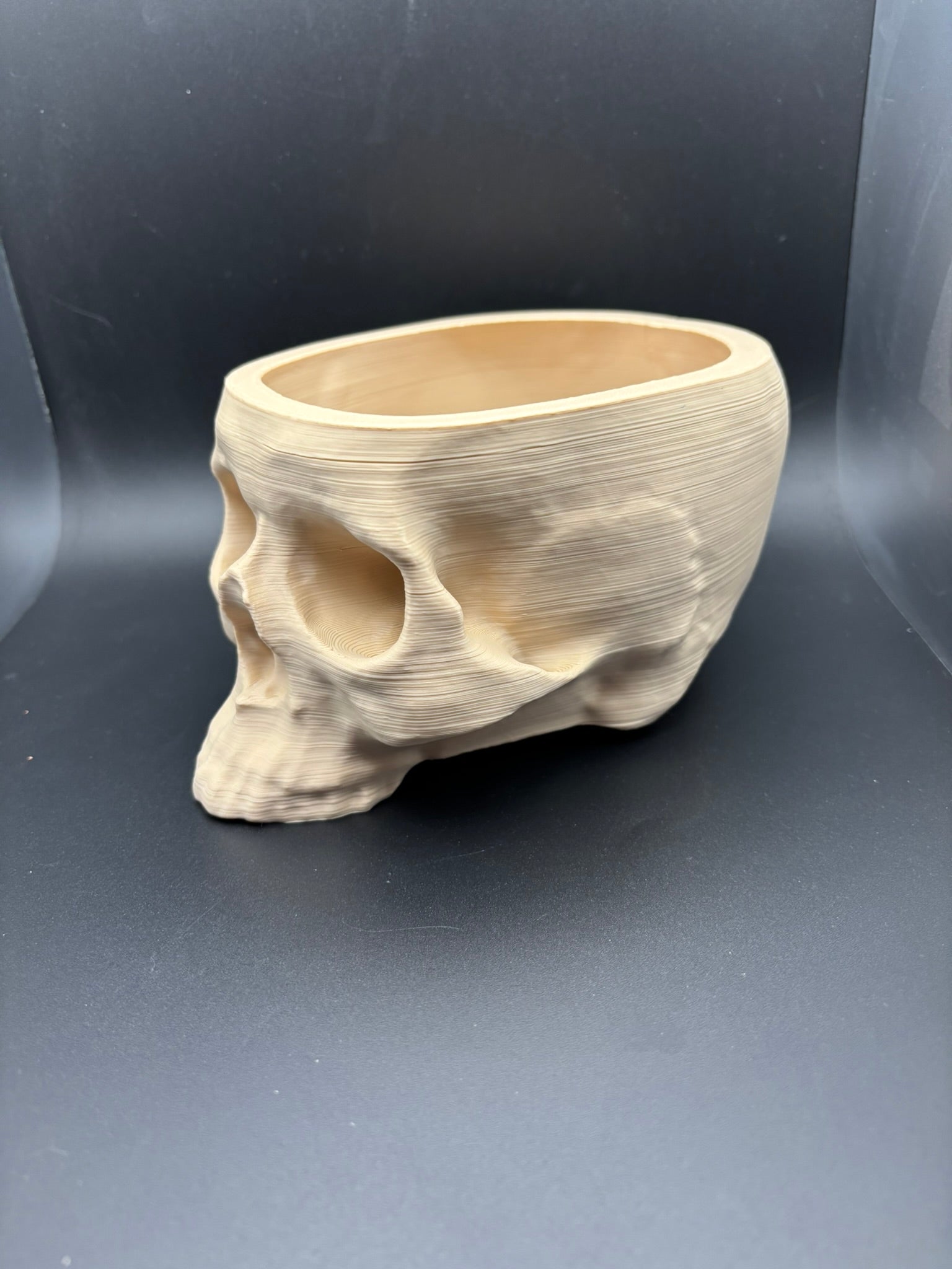 Skull Planter & Organizer