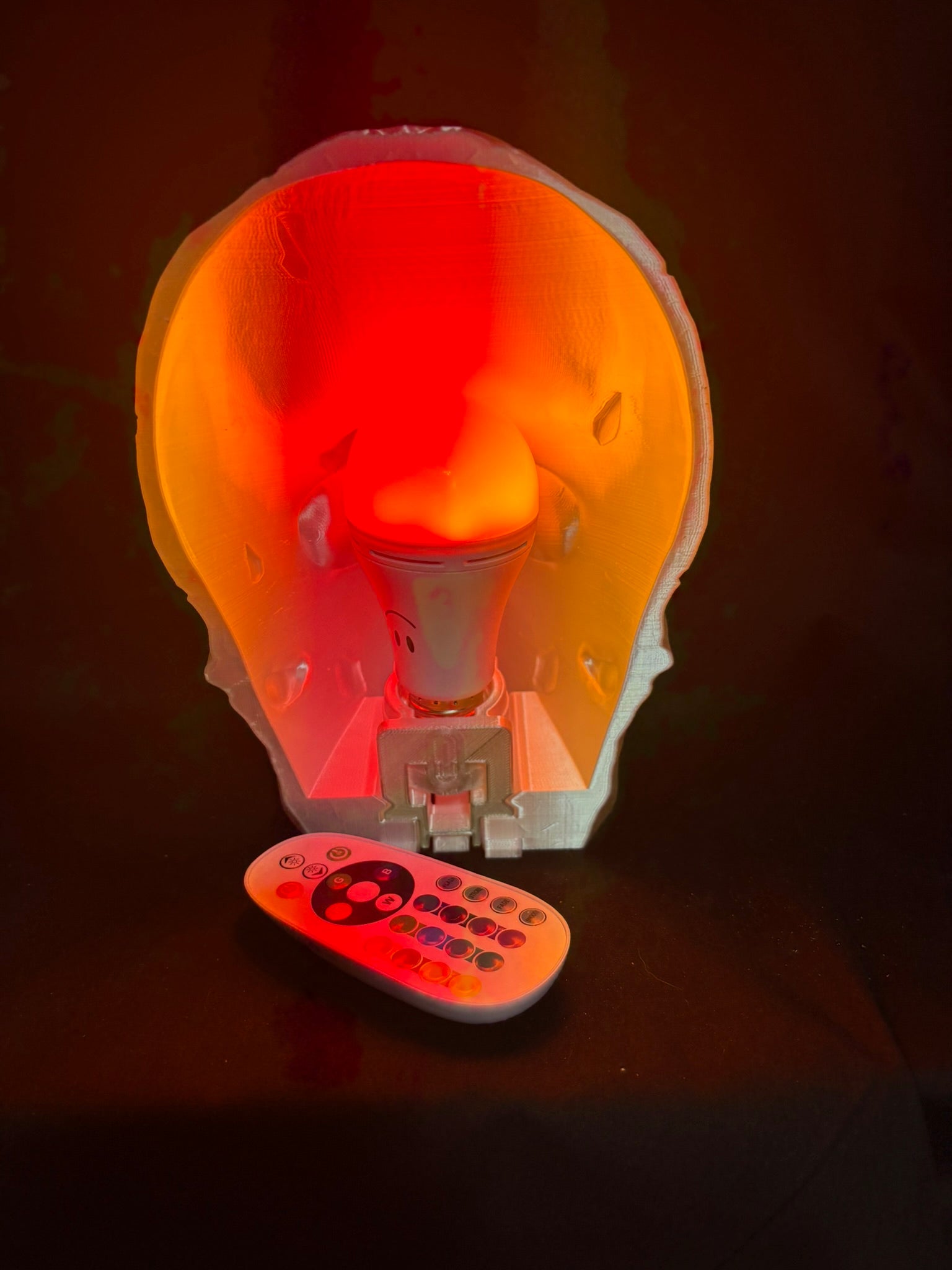 Skull Lamp — Rechargeable LED with Remote