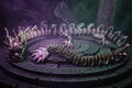 Imperial Dragon Color-Shift Atmospheric