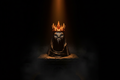 Knight King Atmospheric