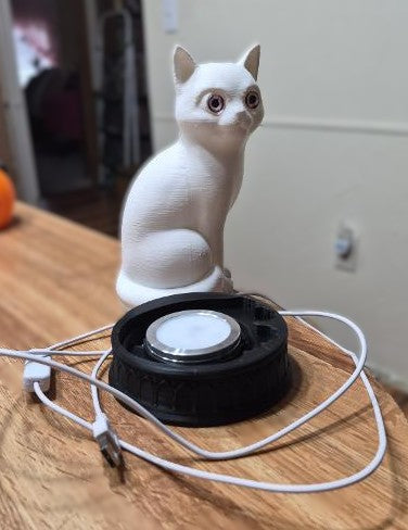 Xray Cat Lamp