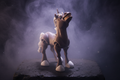 Unicorn Standing